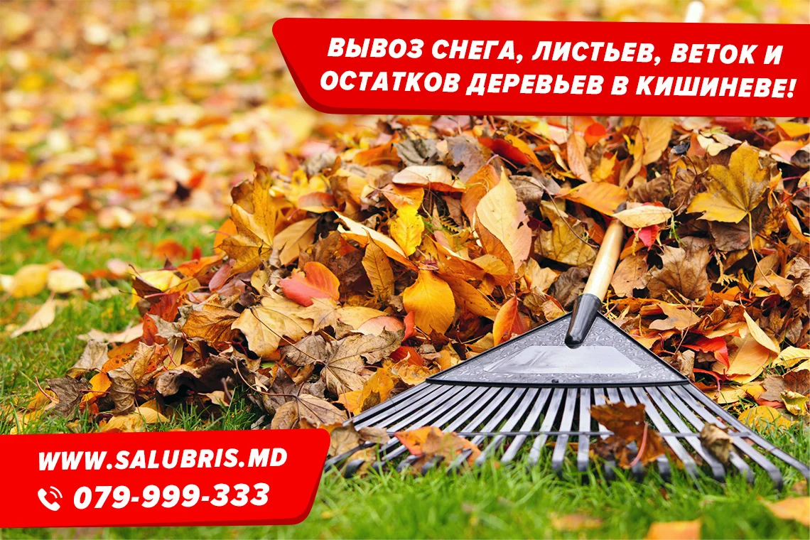 Вывоз снега и листьев в Кишиневе